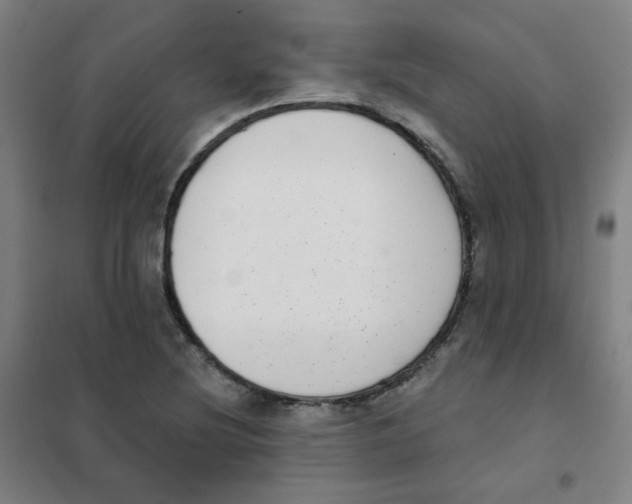 X0000101421220200808041120