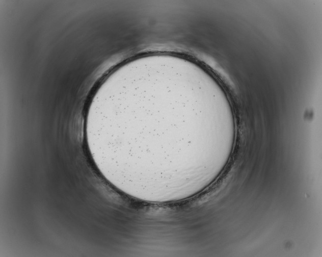 X0000101421221200808041120