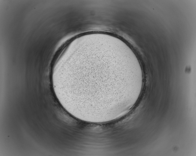X0000101421222200808041120