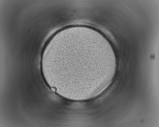X0000101421224200808041120