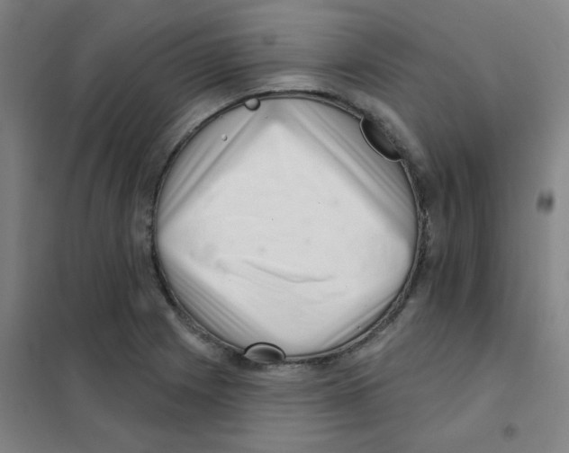 X0000101421225200808041120
