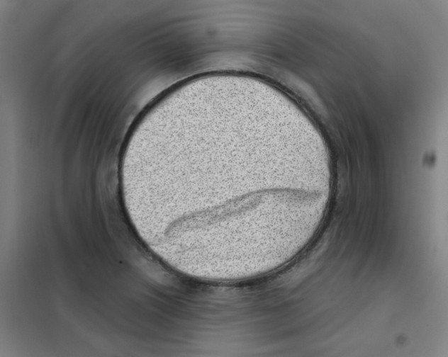 X0000101421226200808041120