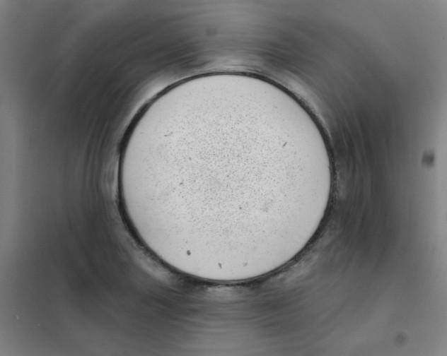 X0000101421227200808041120