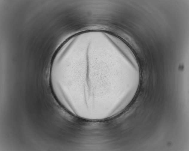X0000101421228200808041120