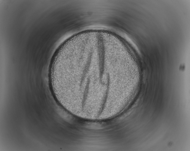X0000101421229200808041120