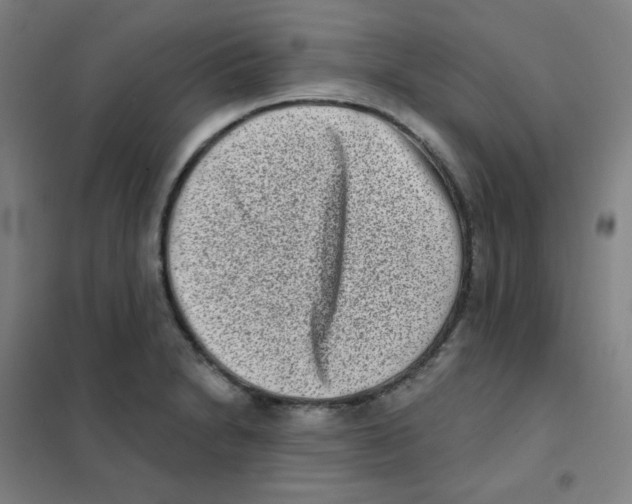 X0000101421230200808041120