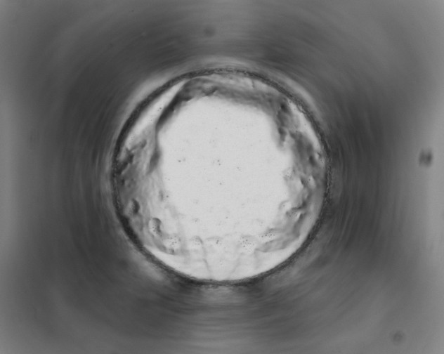 X0000101421231200808041120