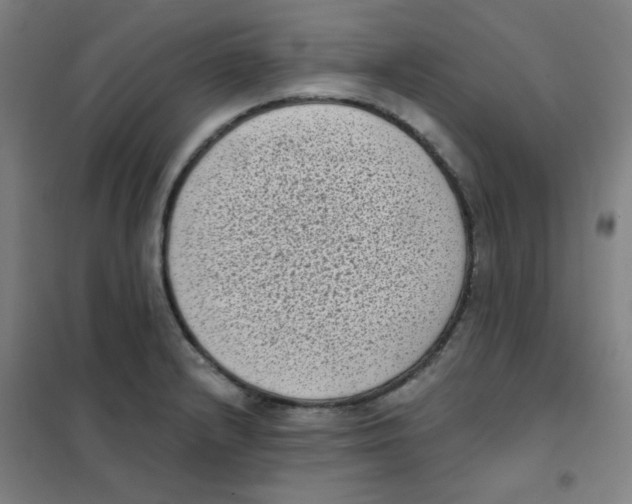 X0000101421232200808041120