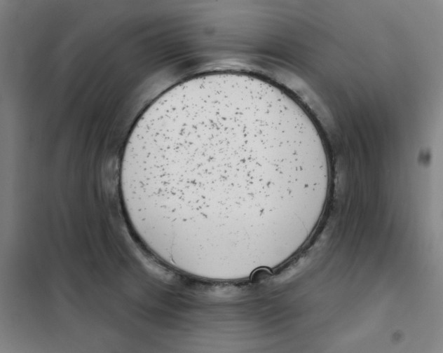 X0000101421233200808041120
