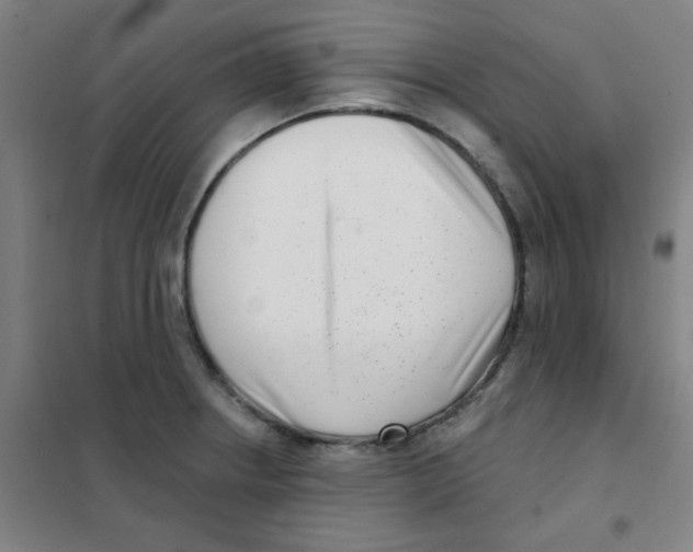 X0000101421234200808041120