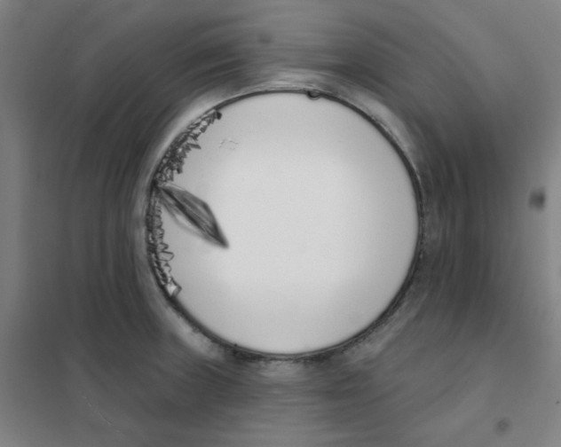 X0000101421235200808041120