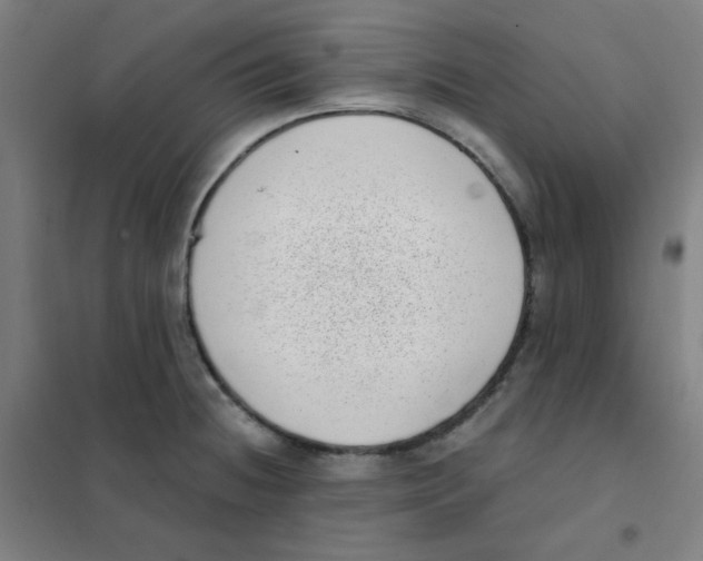X0000101421236200808041120
