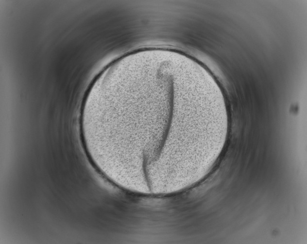 X0000101421237200808041120