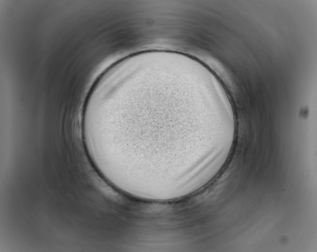 X0000101421238200808041120