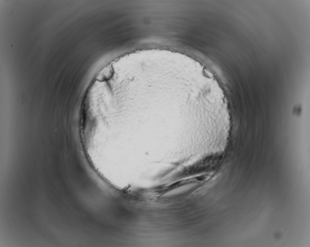 X0000101421239200808041120
