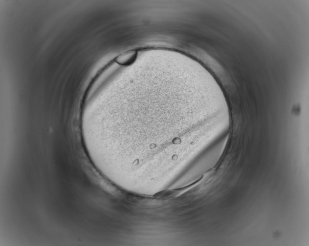 X0000101421240200808041120
