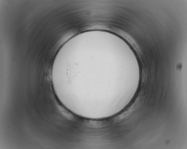 X0000101421241200808041120