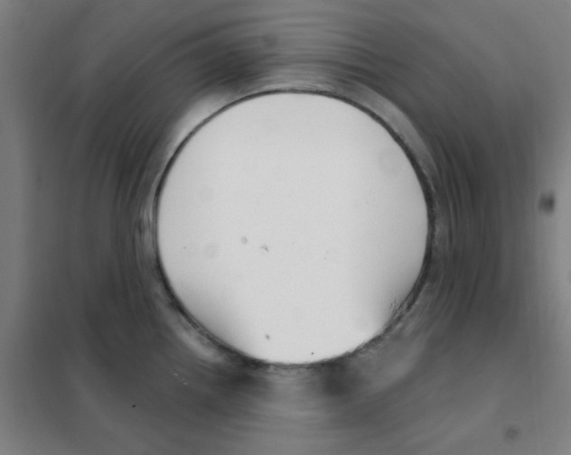 X0000101421242200808041120