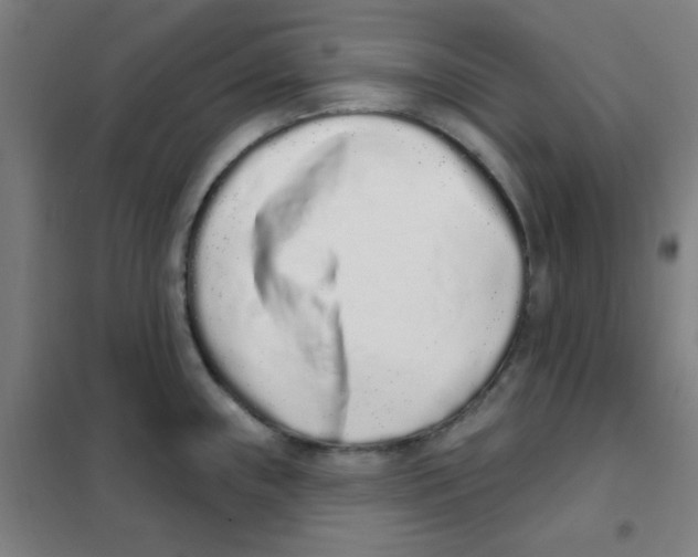 X0000101421243200808041120