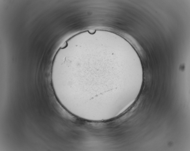 X0000101421244200808041120