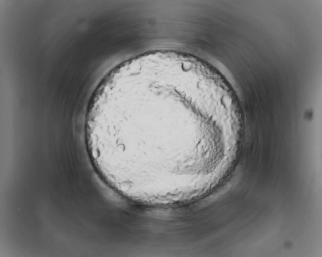 X0000101421245200808041120