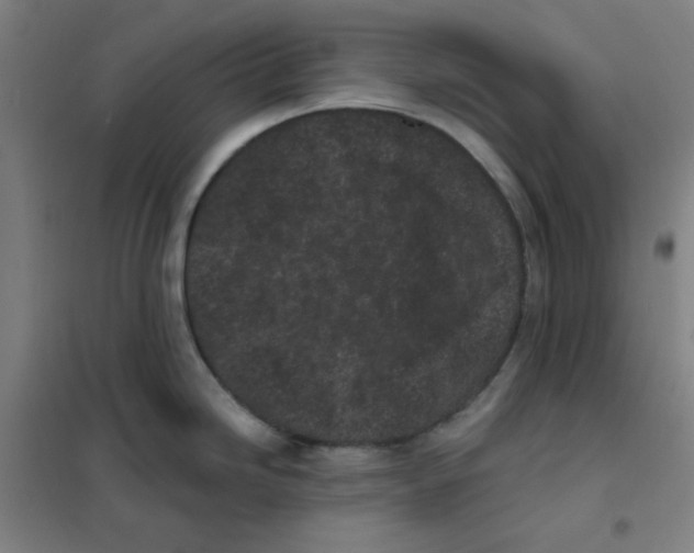 X0000101421246200808041120