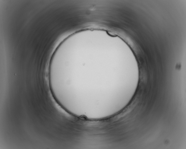 X0000101421247200808041120