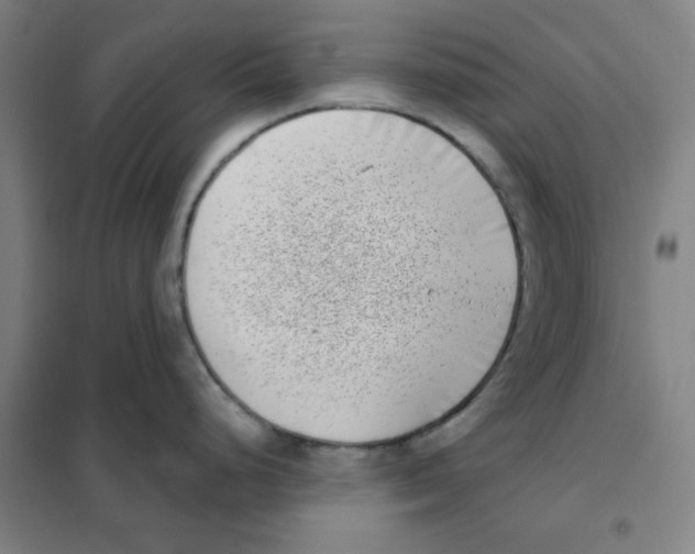 X0000101421248200808041120