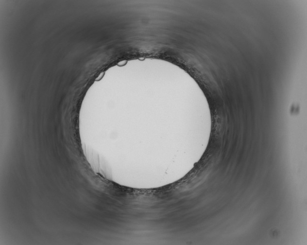X0000101421249200808041120