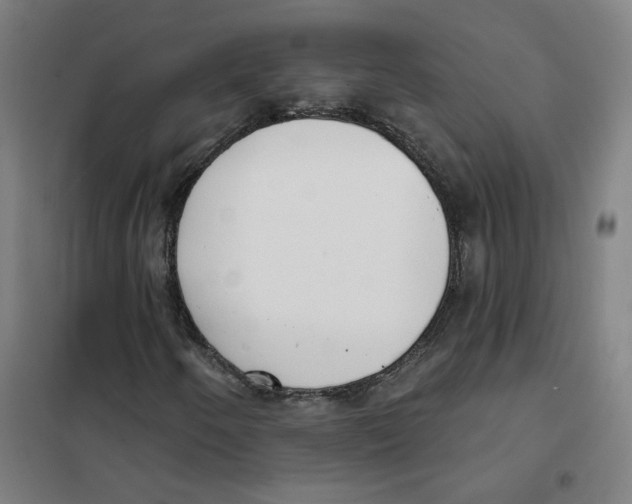 X0000101421250200808041120