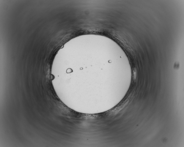 X0000101421251200808041120