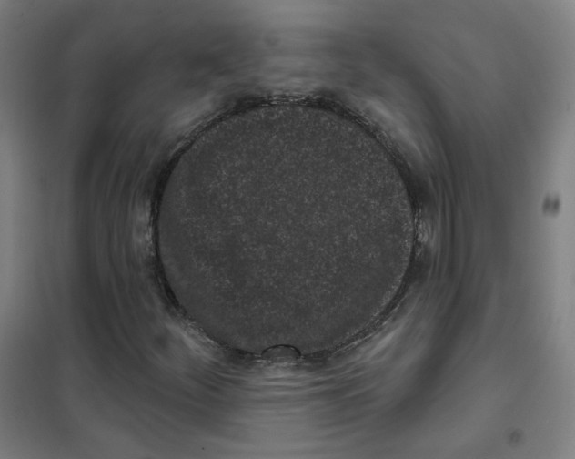 X0000101421252200808041120