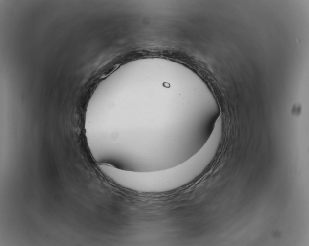 X0000101421253200808041120