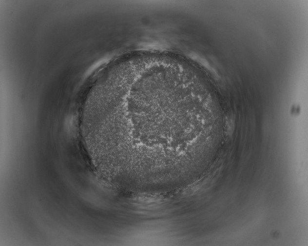 X0000101421254200808041120