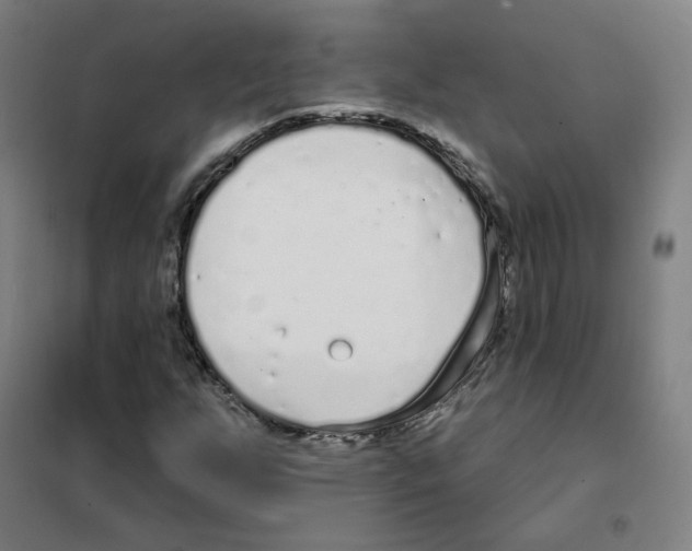 X0000101421255200808041120