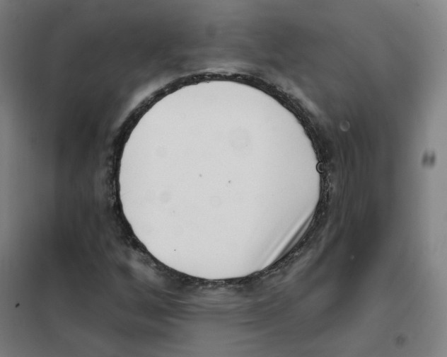 X0000101421256200808041120