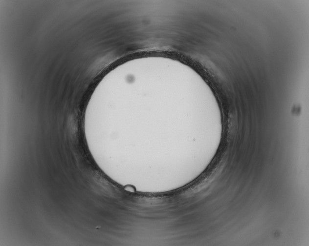 X0000101421257200808041120