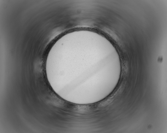 X0000101421258200808041120