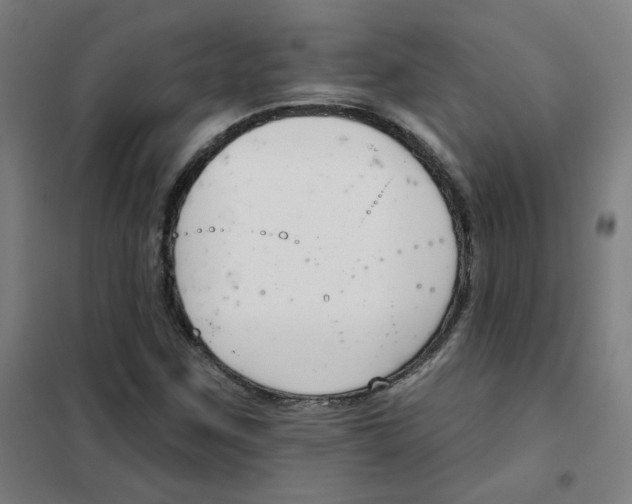 X0000101421259200808041120