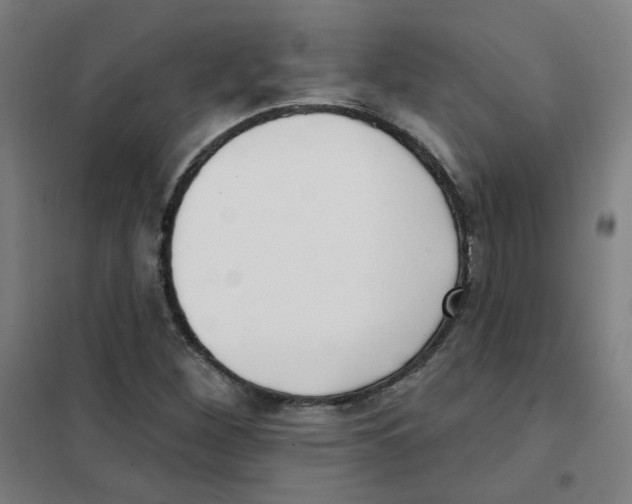 X0000101421260200808041120