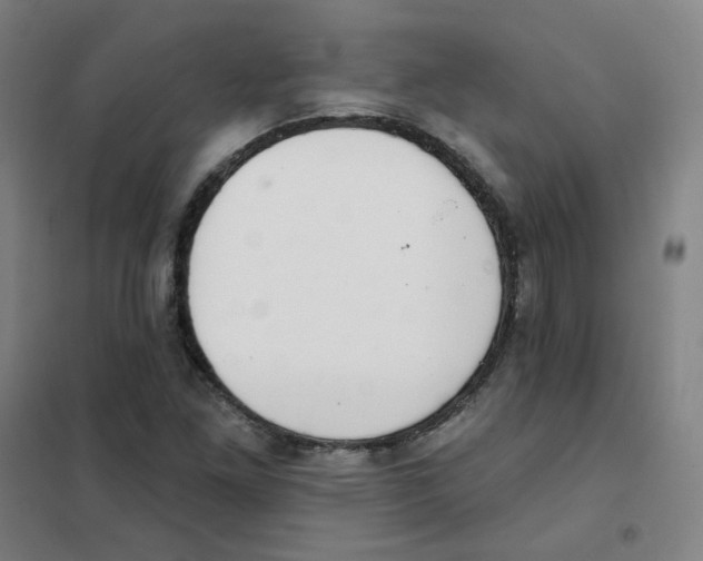 X0000101421261200808041120
