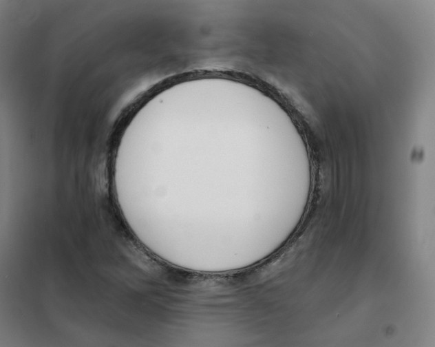 X0000101421262200808041120