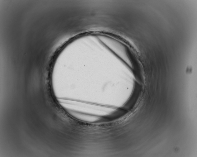 X0000101421263200808041120