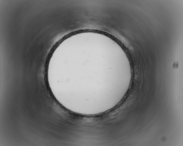 X0000101421264200808041120