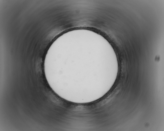 X0000101421265200808041120