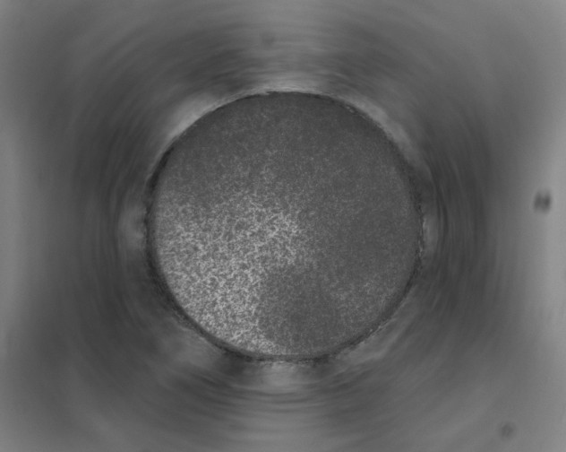 X0000101421266200808041120