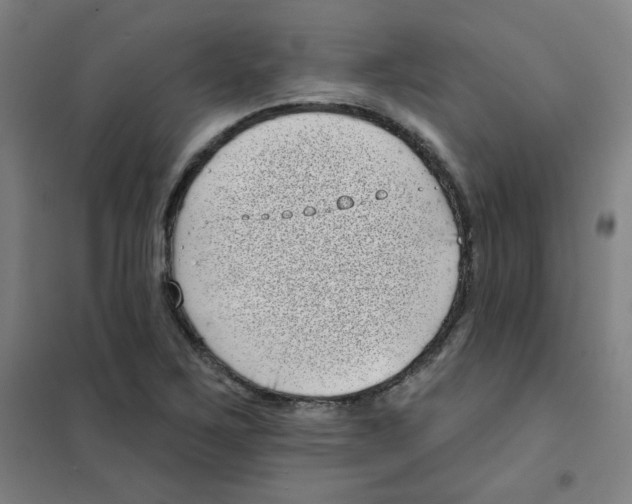 X0000101421267200808041120