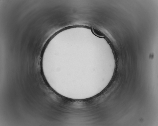 X0000101421268200808041120