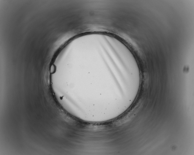 X0000101421269200808041119