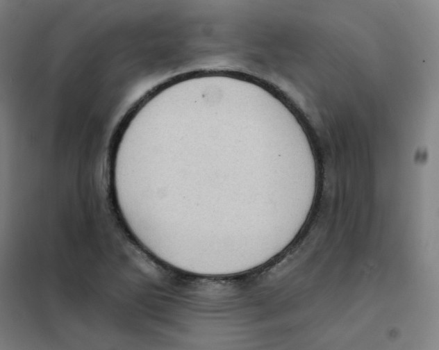 X0000101421270200808041119